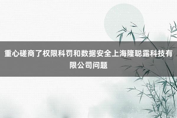 重心磋商了权限科罚和数据安全上海隆聪露科技有限公司问题